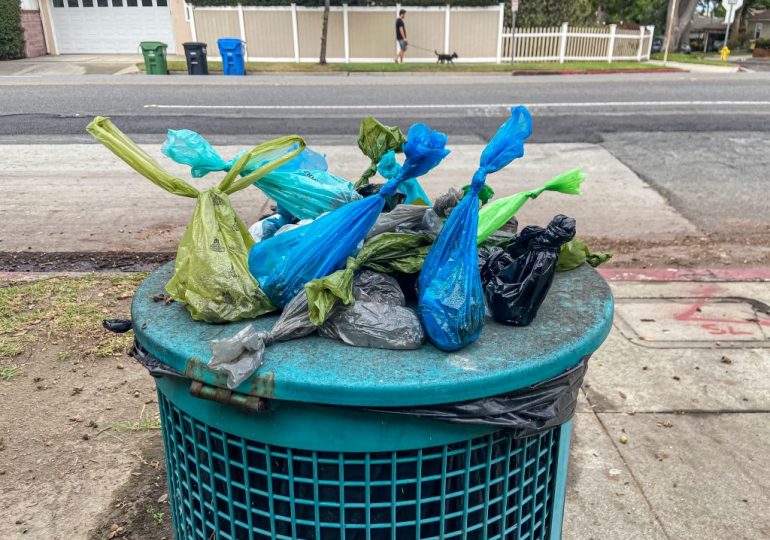 Compostable Dog Poop Bags Aren’t Really That Compostable