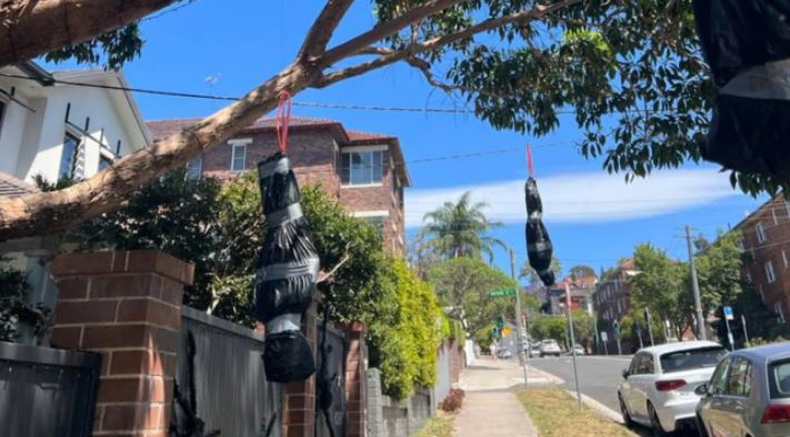 My neighbour’s bizarre Halloween decorations have everyone spooked – they should come with a trigger warning