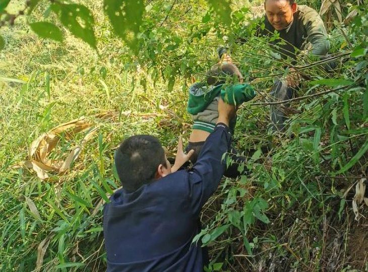 Girl, 3, kidnapped by MONKEY who snatched her from mum and carried her up cliff