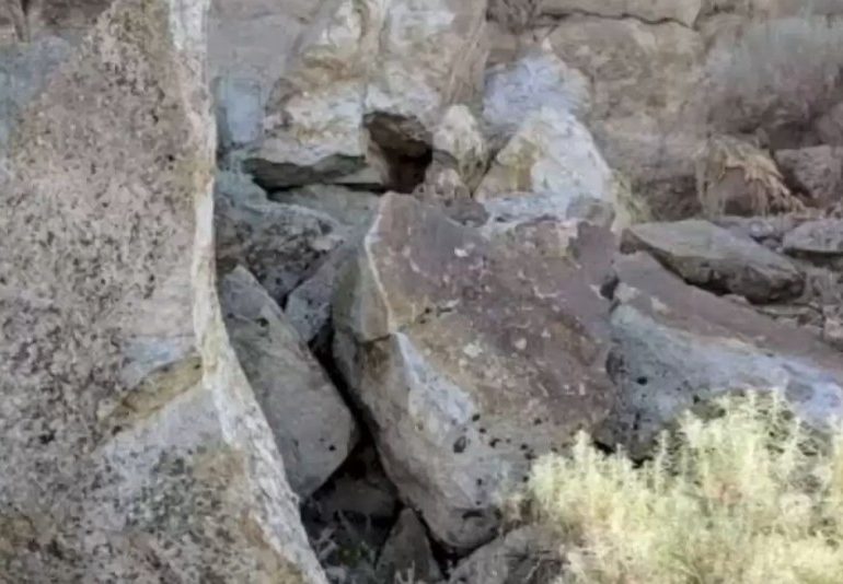 You have a high IQ and 20/20 vision if you can spot the rabbit hiding in this rocky scene in under 10 seconds