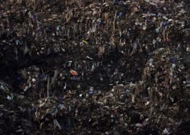 Americans Are Still Putting Way Too Much Food Into Landfills. Local Officials Seek EPA’s Help