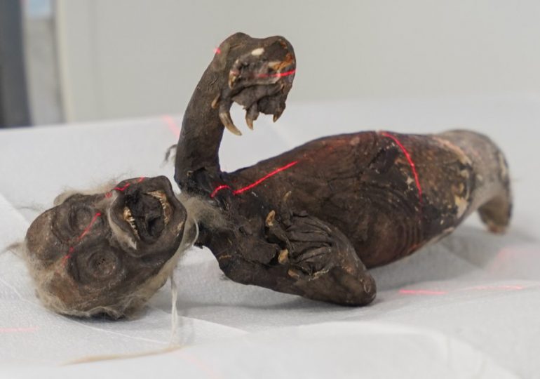 Secrets of eerie ‘mermaid mummy’ to be REVEALED as scientists probe hybrid beast that looks part fish, monkey & reptile