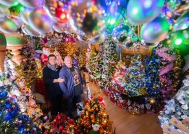 World’s biggest Christmas fanatics top their own record with 555 trees in their HOUSE – and more than 100,000 baubles