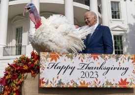 Biden Pardons National Thanksgiving Turkeys on His 81st Birthday