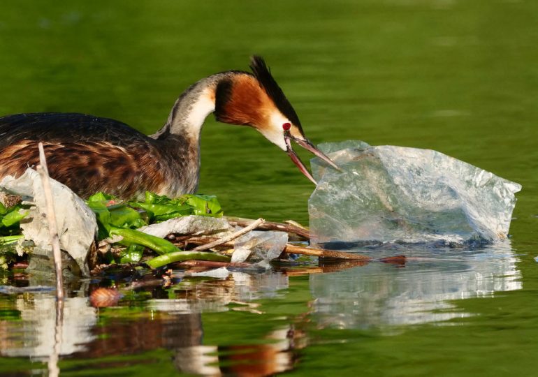 Countries May Be Getting One Step Closer To Actually Tackling Plastic Pollution