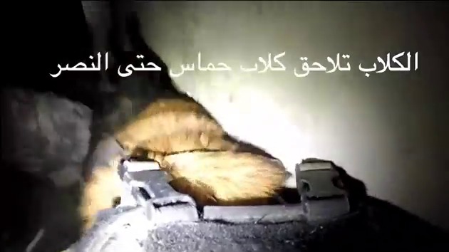 Israel deploys ferocious attack dogs to rip Hamas tunnel terrorists to shreds as training vid shows hound maul ‘fighter’
