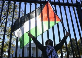 State Lawmakers and Activists Start Hunger Strike for Ceasefire in Gaza