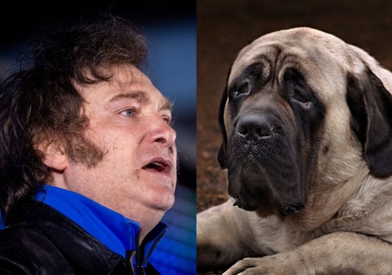 Argentina Just Elected an Eccentric Populist Who Seeks Counsel From His Cloned Dogs