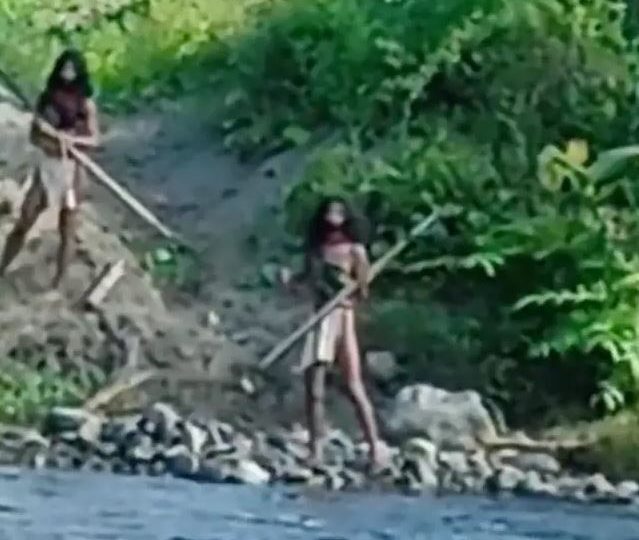 Shocking moment uncontacted tribe have terrifying stand-off with BULLDOZER before miners rev engine sending them fleeing