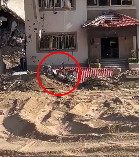 Escaped BABOONS seen roaming around Gaza ruins after zoo ‘destroyed in airstrikes’ as IDF forced to round them up