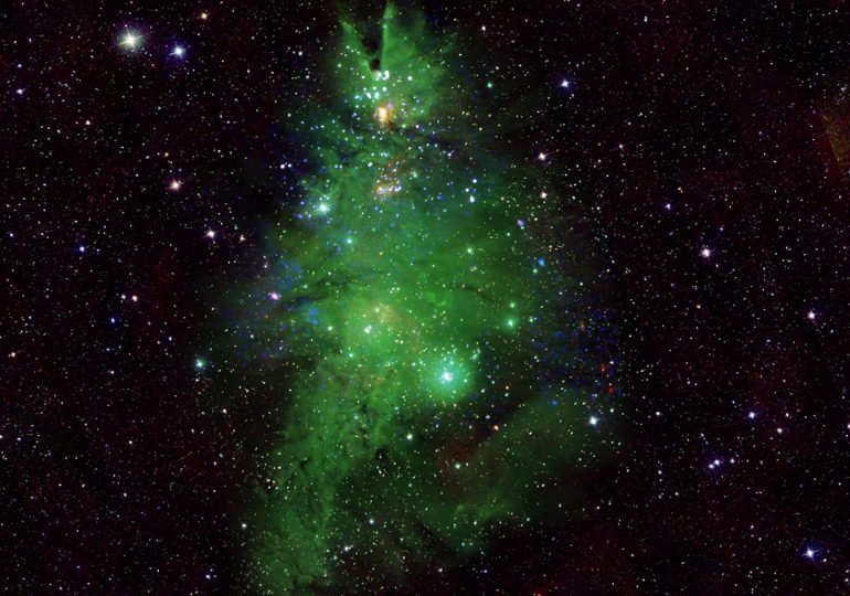 Check Out the Galaxy’s Very Own Christmas Tree
