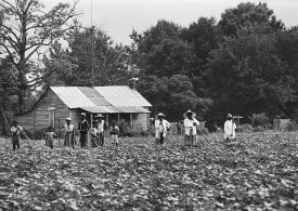 The Quest for Racial Equality Has Always Been Different for Rural Americans