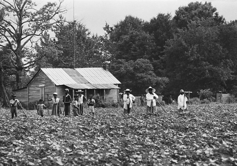 The Quest for Racial Equality Has Always Been Different for Rural Americans