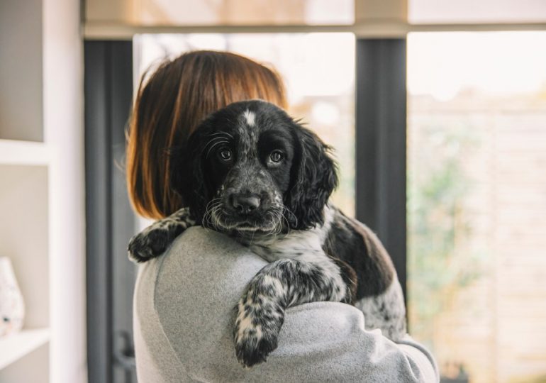 I’ve left my entire £1million fortune to my beloved pets and NOT to my kids – they mean more to me than my family
