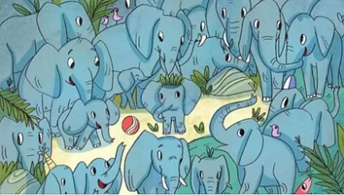 Everyone can see the cheerful elephants – but you have 20/20 vision & a high IQ if you can spot the rhino in 7 seconds