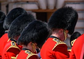 PETA Launches Campaign to End Use of Bearskin for Hats Worn by U.K. King’s Guard