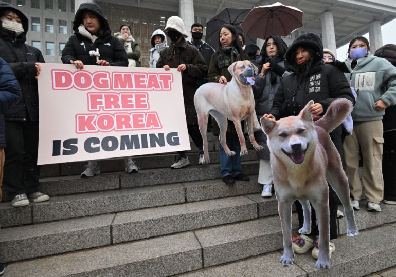 South Korea’s Parliament Unanimously Passes Historic Dog Meat Ban