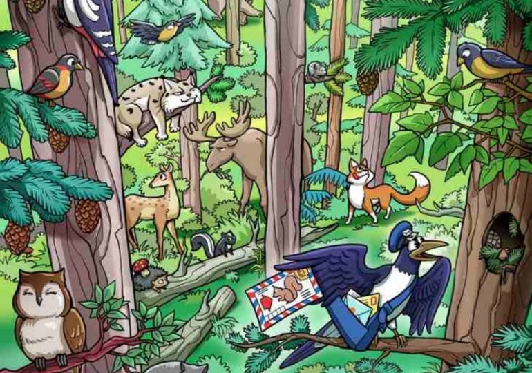 Everyone can see the birds in the jungle – but you have 20/20 vision if you can spot the hidden squirrel in 9 seconds