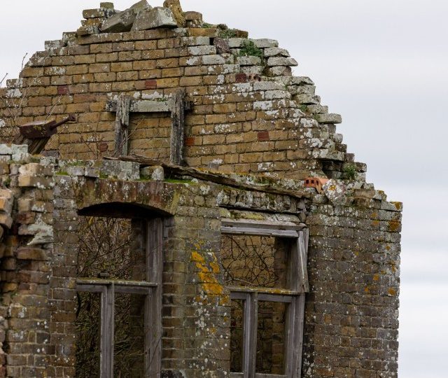 Everyone can see the abandoned building – but you have 20/20 vision if you can spot the owl in 12 seconds