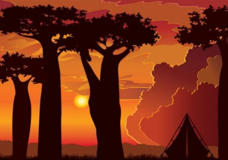 Everyone can spot the tent in the sunset scene – but you have 20/20 vision if you can spot the giraffe in 6 seconds