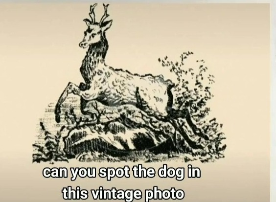 You have the eyes of a hawk if you can spot the dog hiding in this vintage optical illusion in 12 seconds