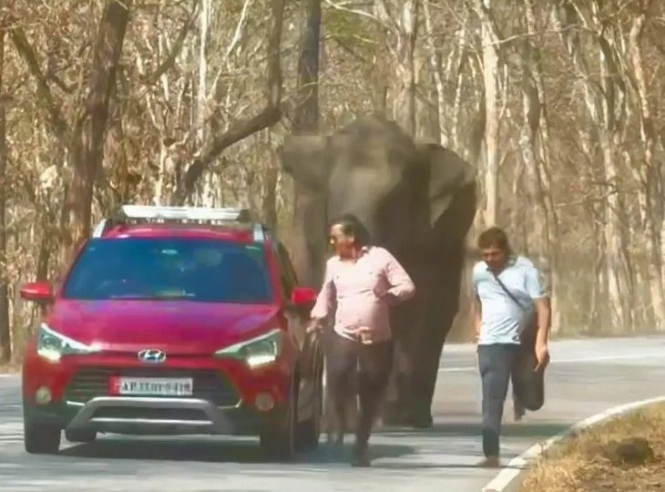 Moment rampaging elephant charges idiot tourists who ‘tried to take selfies with it’ & nearly TRAMPLES one to death