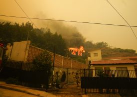 Forest Fires Rage On in Central Chile Killing at Least 64