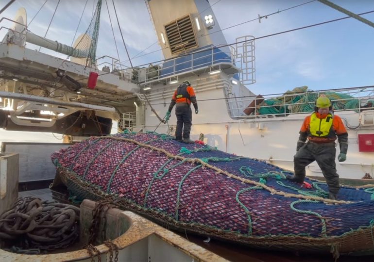 Putin declares war on Britain’s CHIPPYS as 68-year-old peace treaty allowing UK trawlers to catch Russian cod ripped up