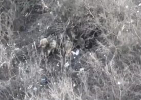 Horror video shows moment ‘Russians brutally execute at least 7 Ukrainian prisoners with machine guns in cold blood’