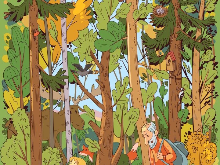 You need 20/20 vision to spot the bear – but only those with a high IQ can find the hidden apple in the forest too