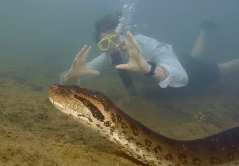 Incredible moment world’s largest SNAKE is discovered by TV crew with 26ft beast as thick as a car tyre filmed in water