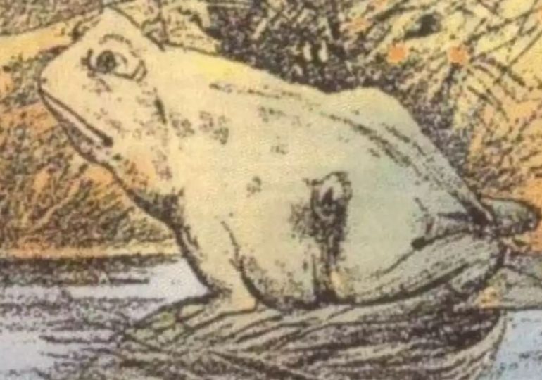 Everyone can see the frog – but you have 20/20 vision & a high IQ if you can spot the horse in just 12 seconds