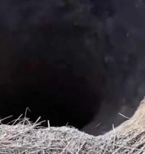 Mystery as huge crater dubbed ‘portal to the underworld’ opens up near Ukraine border as Russia quickly fills it in