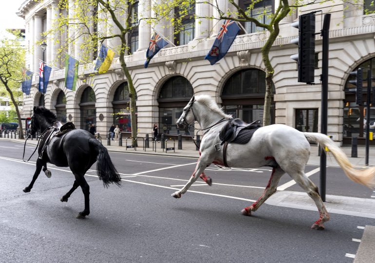 2 Military Horses That Broke Free and Ran Loose Across London Are in Serious Condition