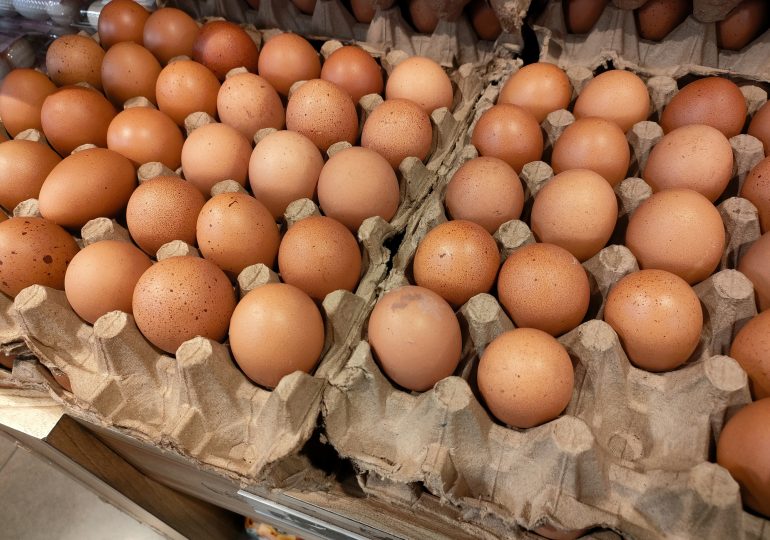 Is It Safe to Eat Eggs and Chicken During the Bird Flu Outbreak?