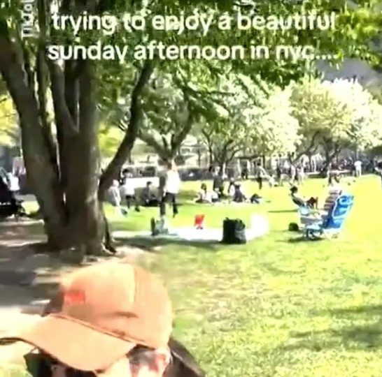 NYC park couple shock onlookers by ‘having sex under blanket’ as viral video triggers TikTok storm