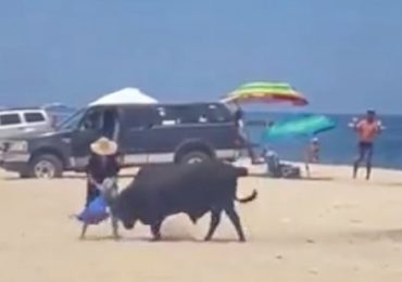 Shocking moment terrified tourist is GORED by wild bull on popular beach after she tried to calmly pack up her towels