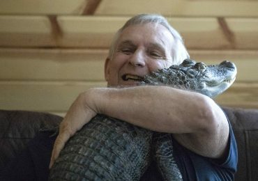 Viral Emotional Support Alligator Has Gone Missing, Owner Says
