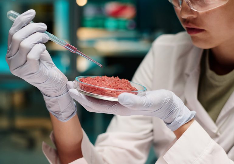 The Sale of Lab-Grown Meat Has Already Been Banned by Some U.S. States. Here’s Why