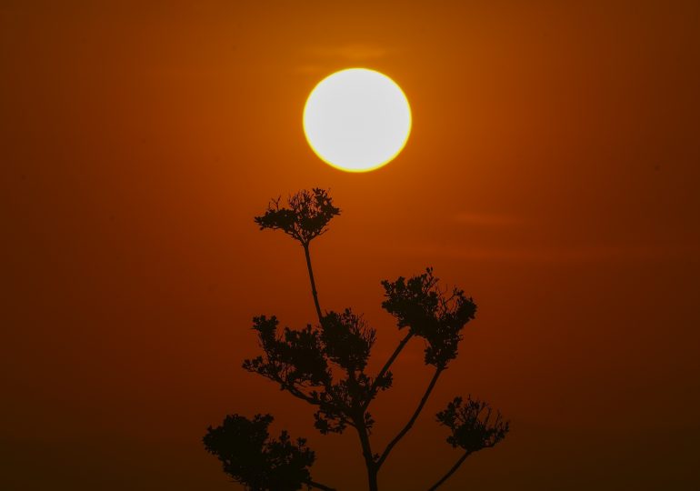 ‘Heat Dome’ Leads to Sweltering Temperatures in Mexico, Central America and U.S.