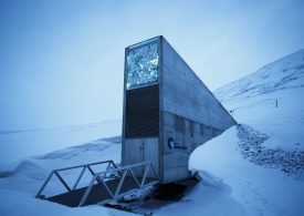 Men Behind the Arctic Doomsday Seed Vault Win World Food Prize