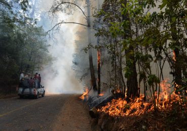 Mexico Is Fighting Over 100 Active Wildfires Amid a Heat Wave