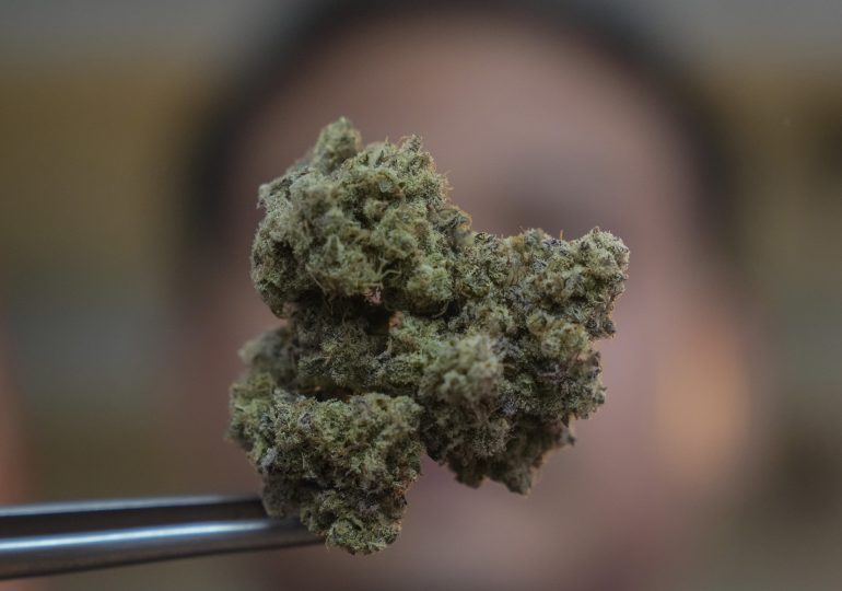 Thailand’s Prime Minister Wants to Outlaw Cannabis Two Years After Decriminalization