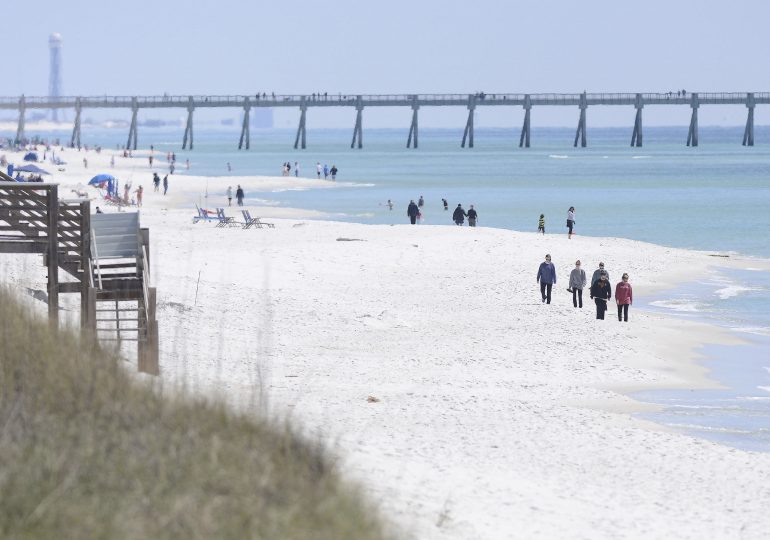 Florida Authorities Warn of Shark Dangers Along Gulf Coast After 3 People Are Attacked