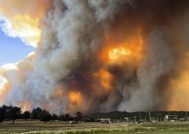 Rain Helps Firefighters Gain Ground on Deadly Large Wildfires in Southern New Mexico