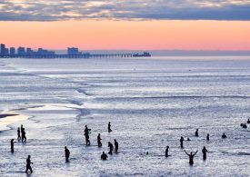 3 Alabama Men Die After Becoming Distressed While Swimming at Florida Beach