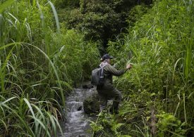 In Indonesia, Women Rangers Go on Patrol to Slow Deforestation