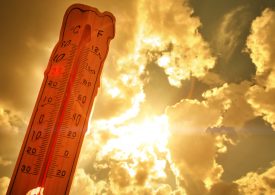 Here’s How Your Energy Bill May Be Affected by Extreme Heat