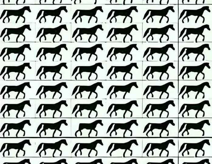 It’s one job counting the horses but you could have 20/20 vision if you can find the three-legged animal in 7 seconds