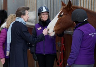 Princess Anne in Hospital With Minor Injuries, Concussion After Incident on Her Estate